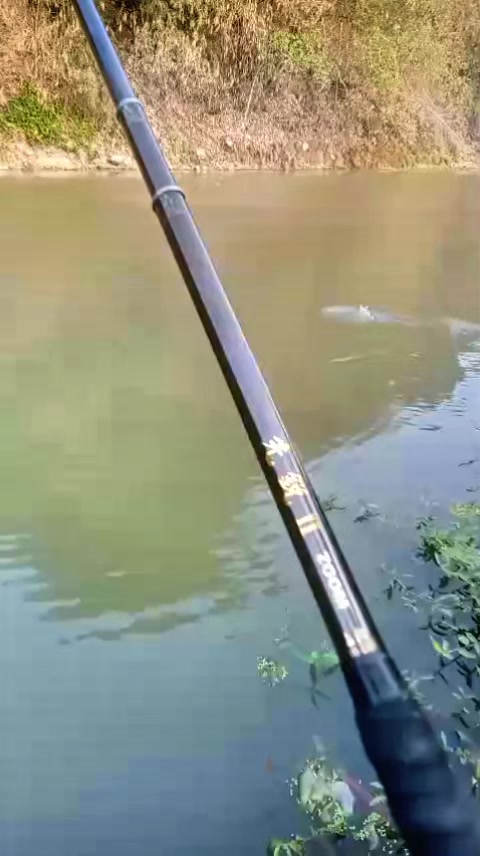 @Gasle Fishing