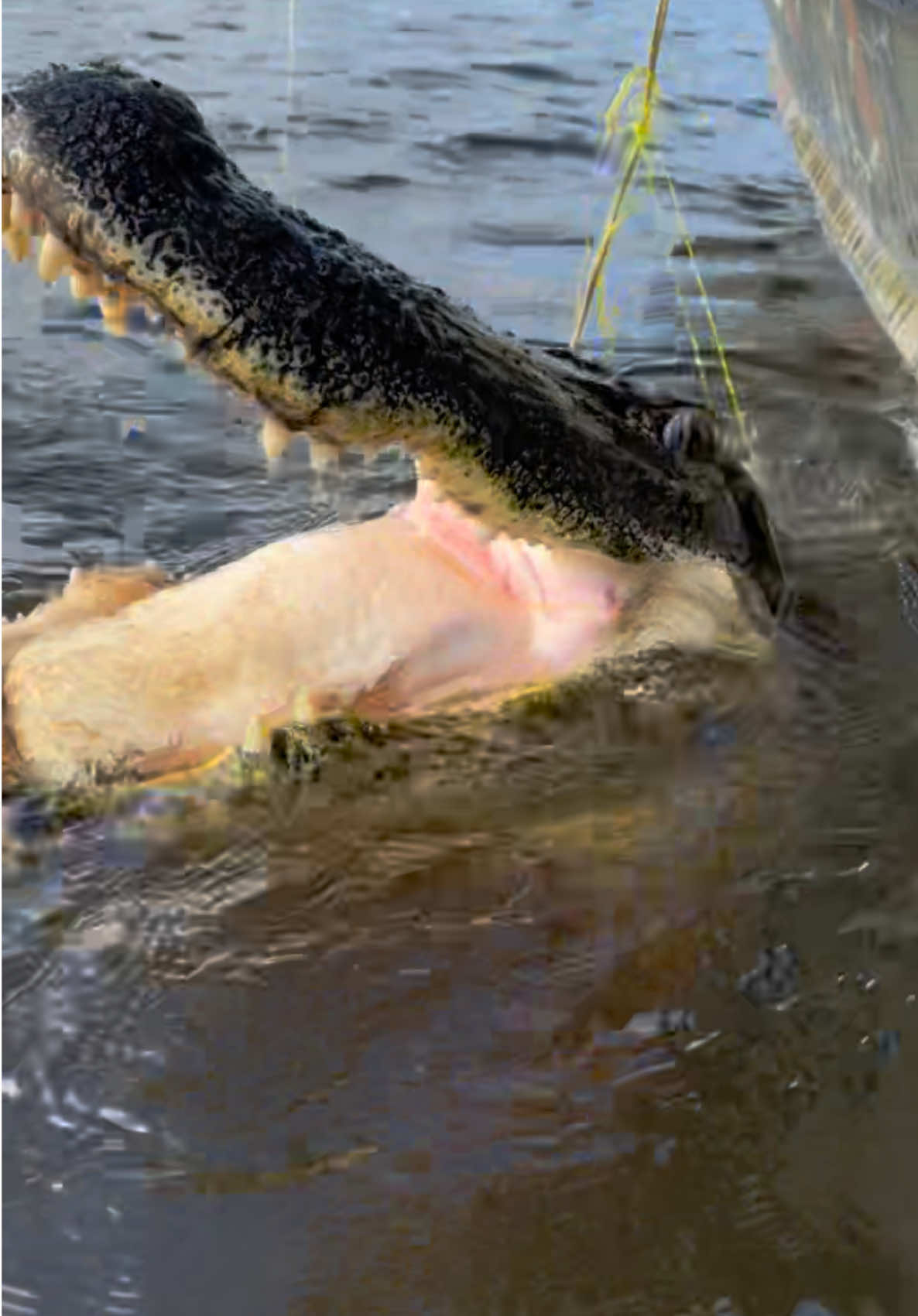 @SwampAddictOutdoorsLLC