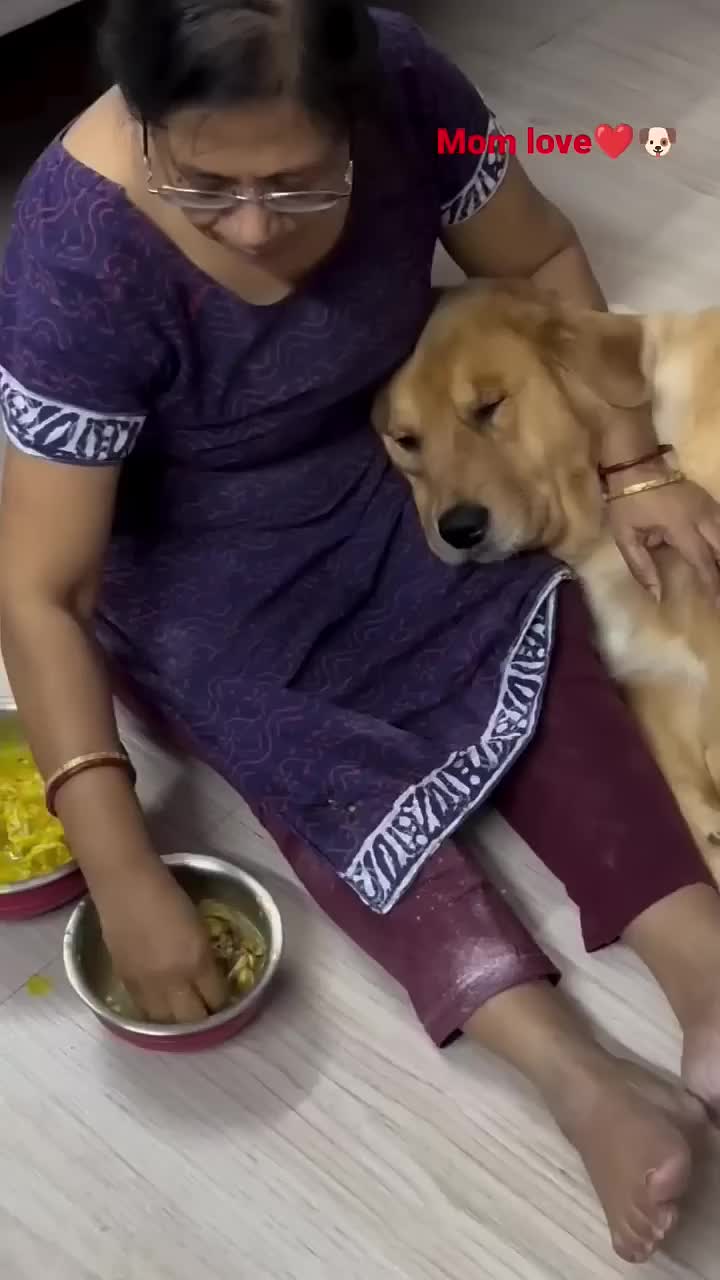 @Dogs Lovers