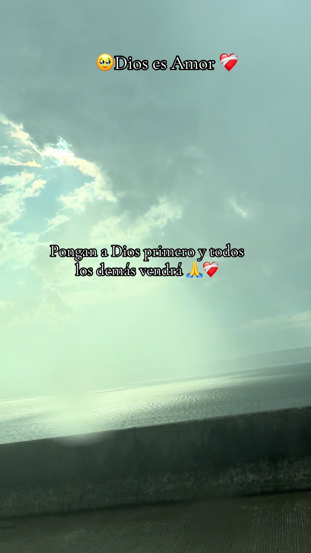 @Eli A❤️
