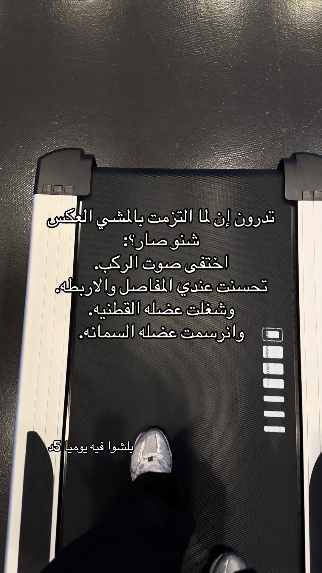 @coach hnouf ๐๐ผโ๏ธ