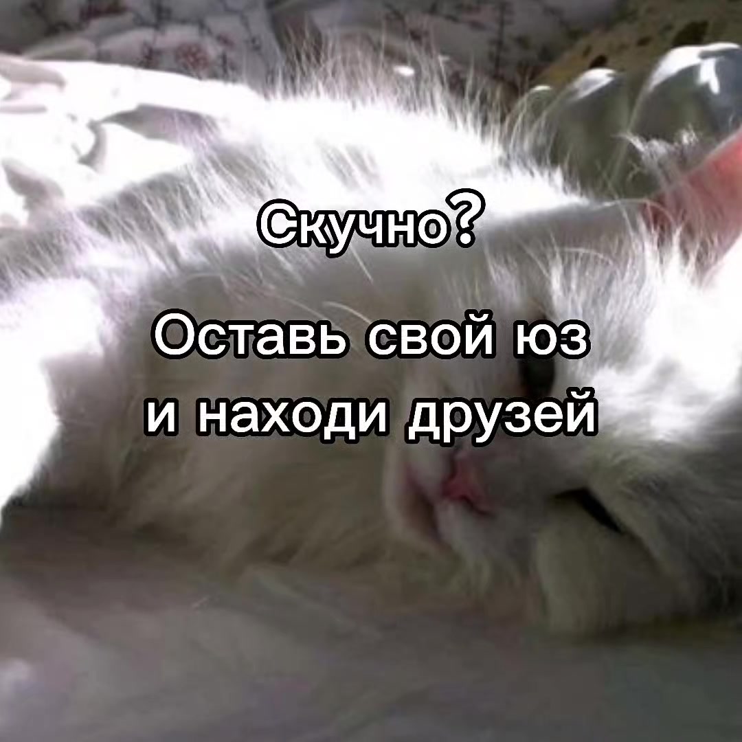@mivrac