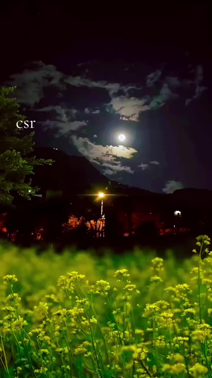 @56cleansr