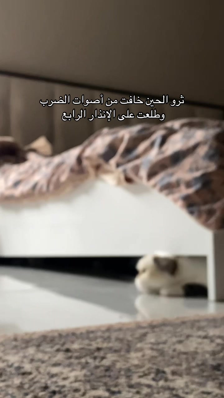 @MILA🤍LUNA