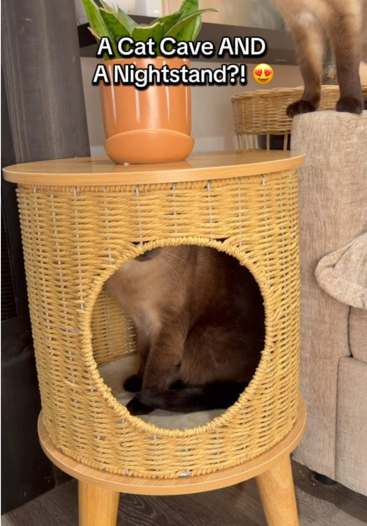 @lifewithgoldenshepherds
