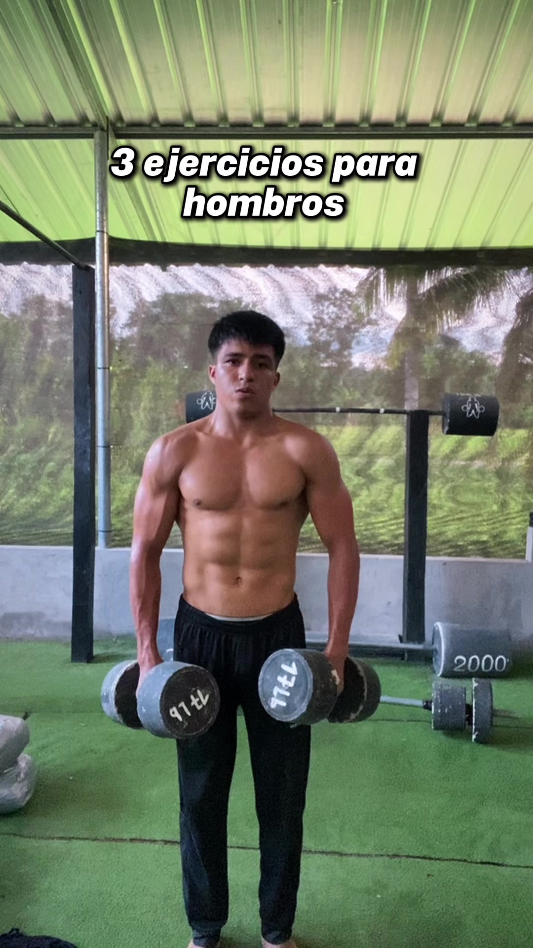 @TINO_FITNESS🔱