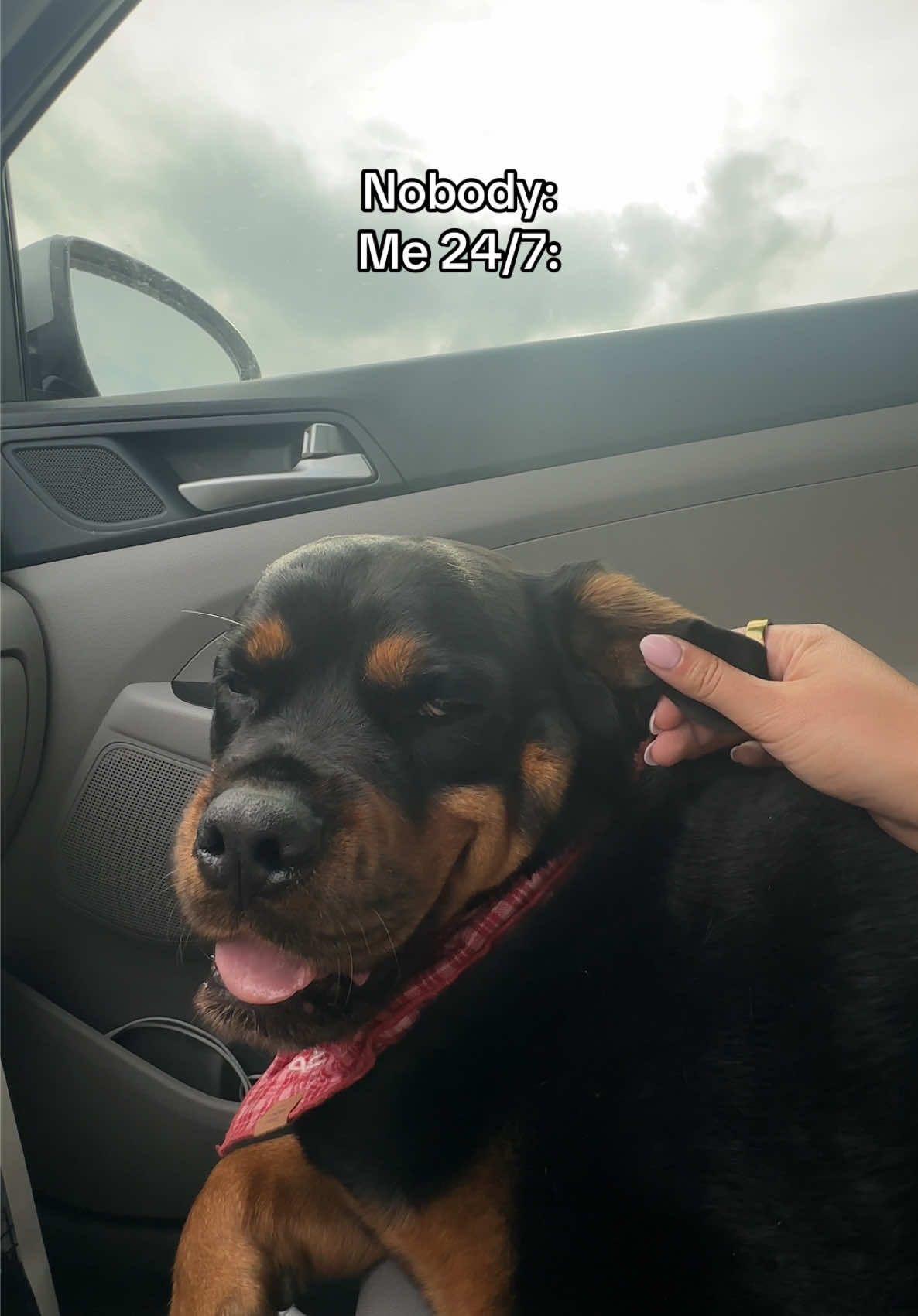 @Kasey the Rottie