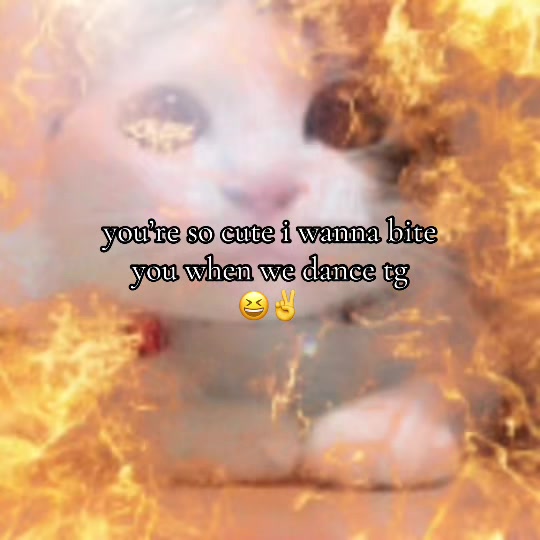 @vrodie4244