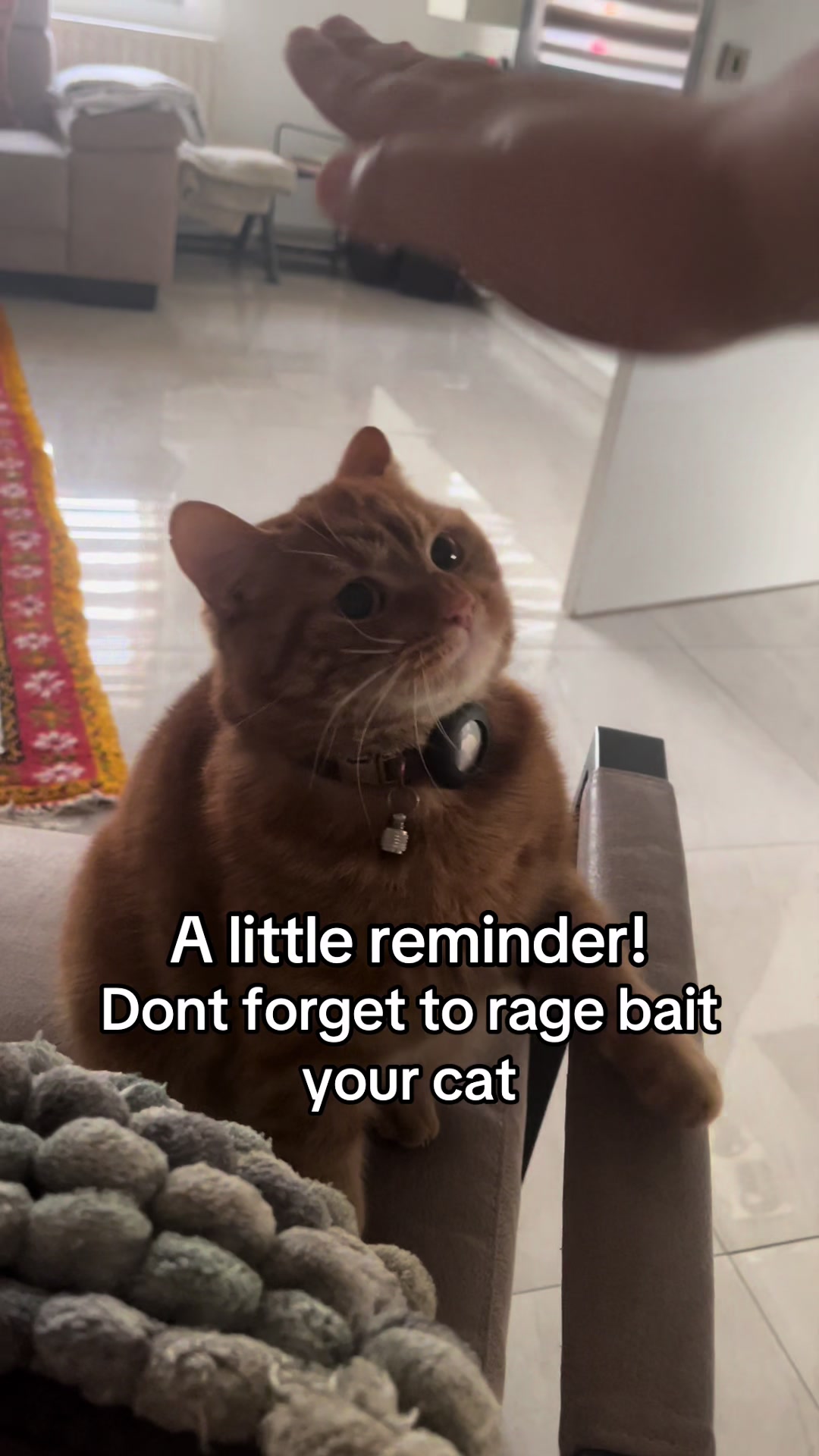 @📽️