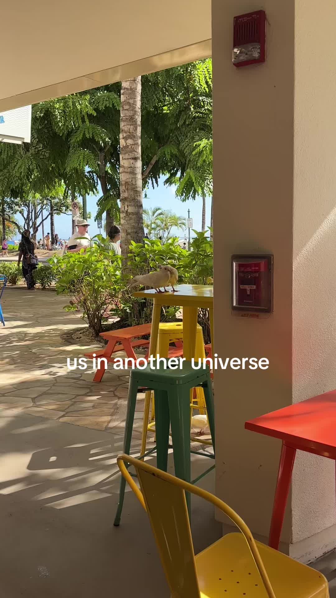 @Crisann | UGC Creator