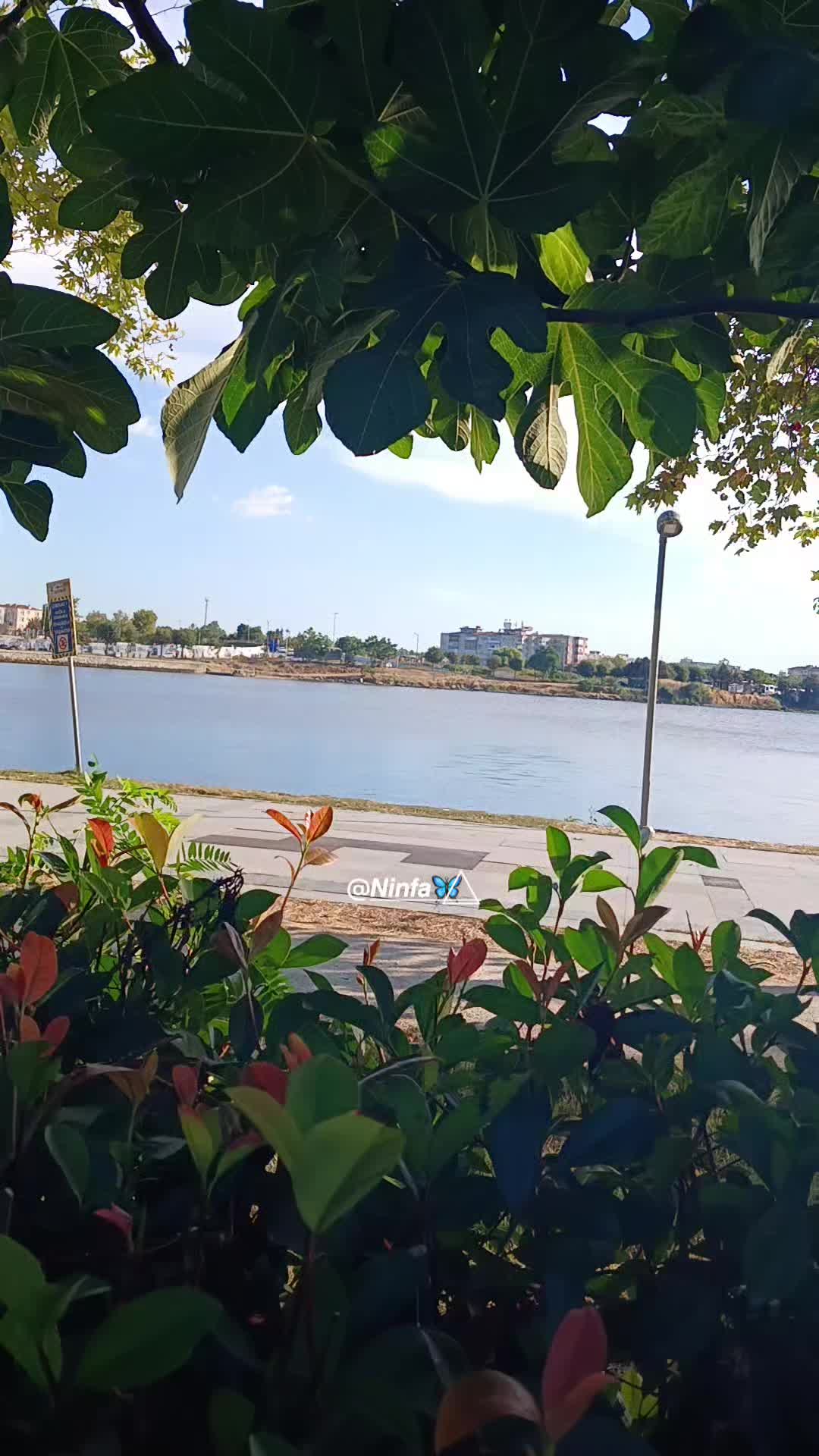 @𝙉𝙞𝙣𝙛𝙖  🦋⃤