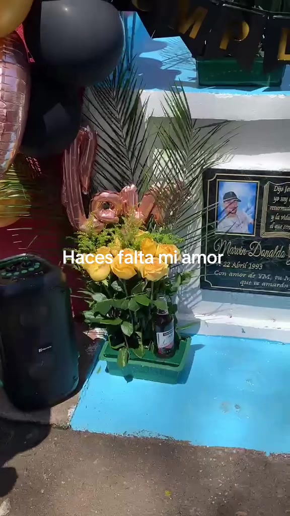 @telmagusman