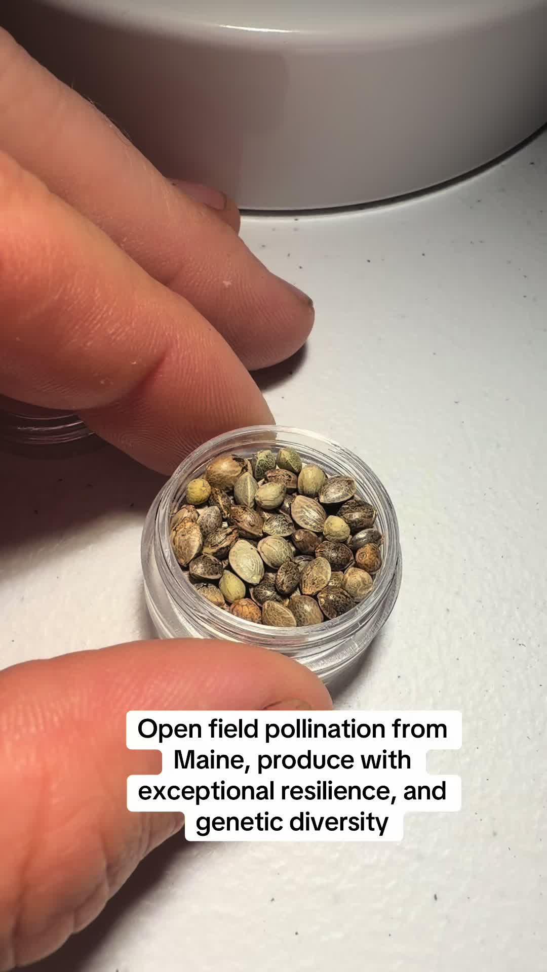 @SEEDTIVA
