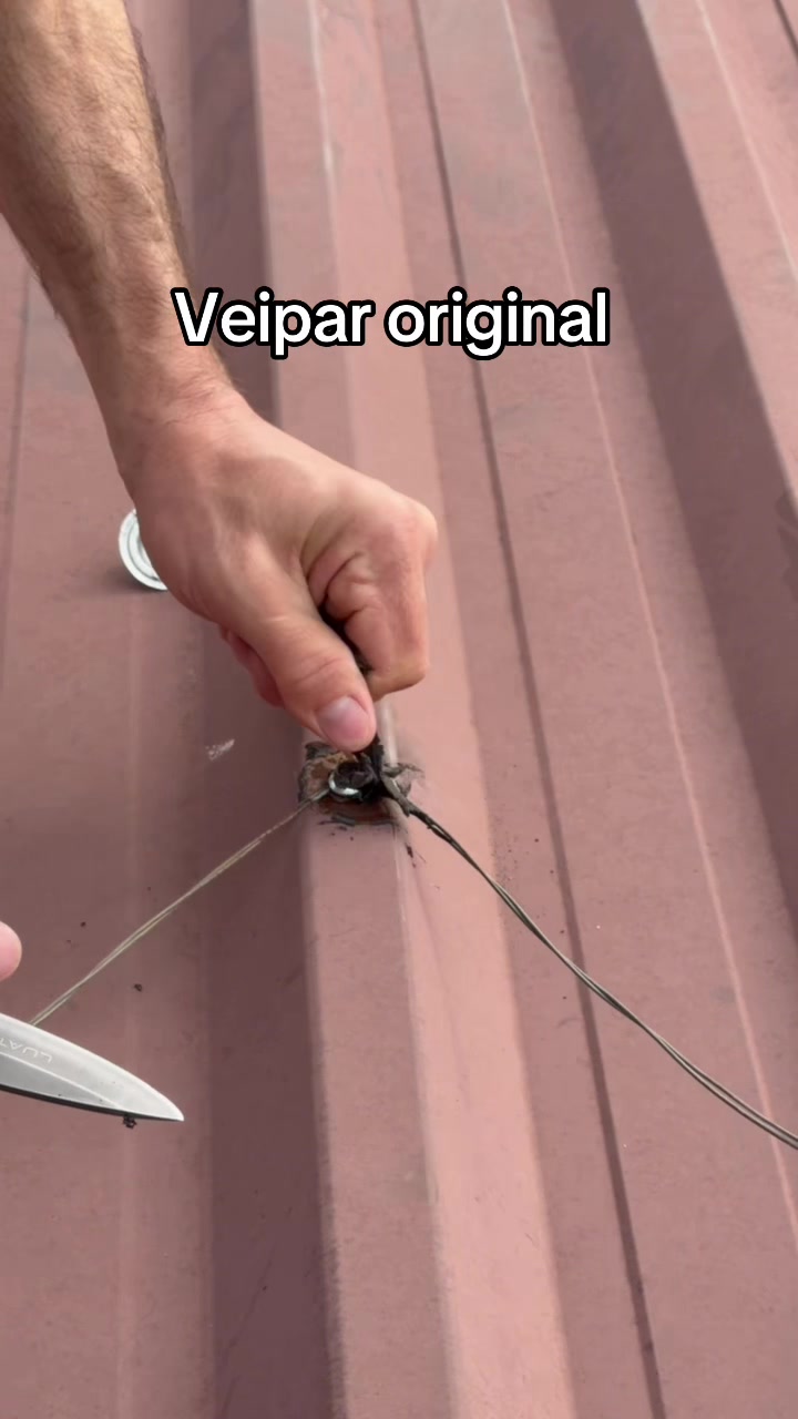 @Veimar Alves - Veipar