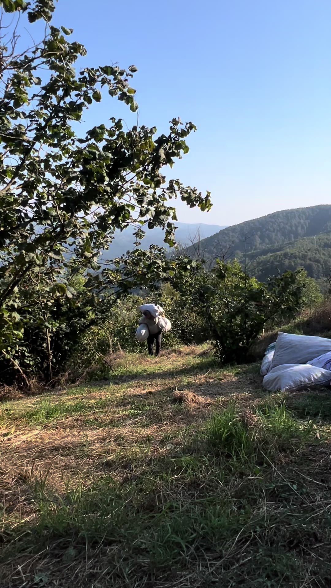 @sezgin kuşcu