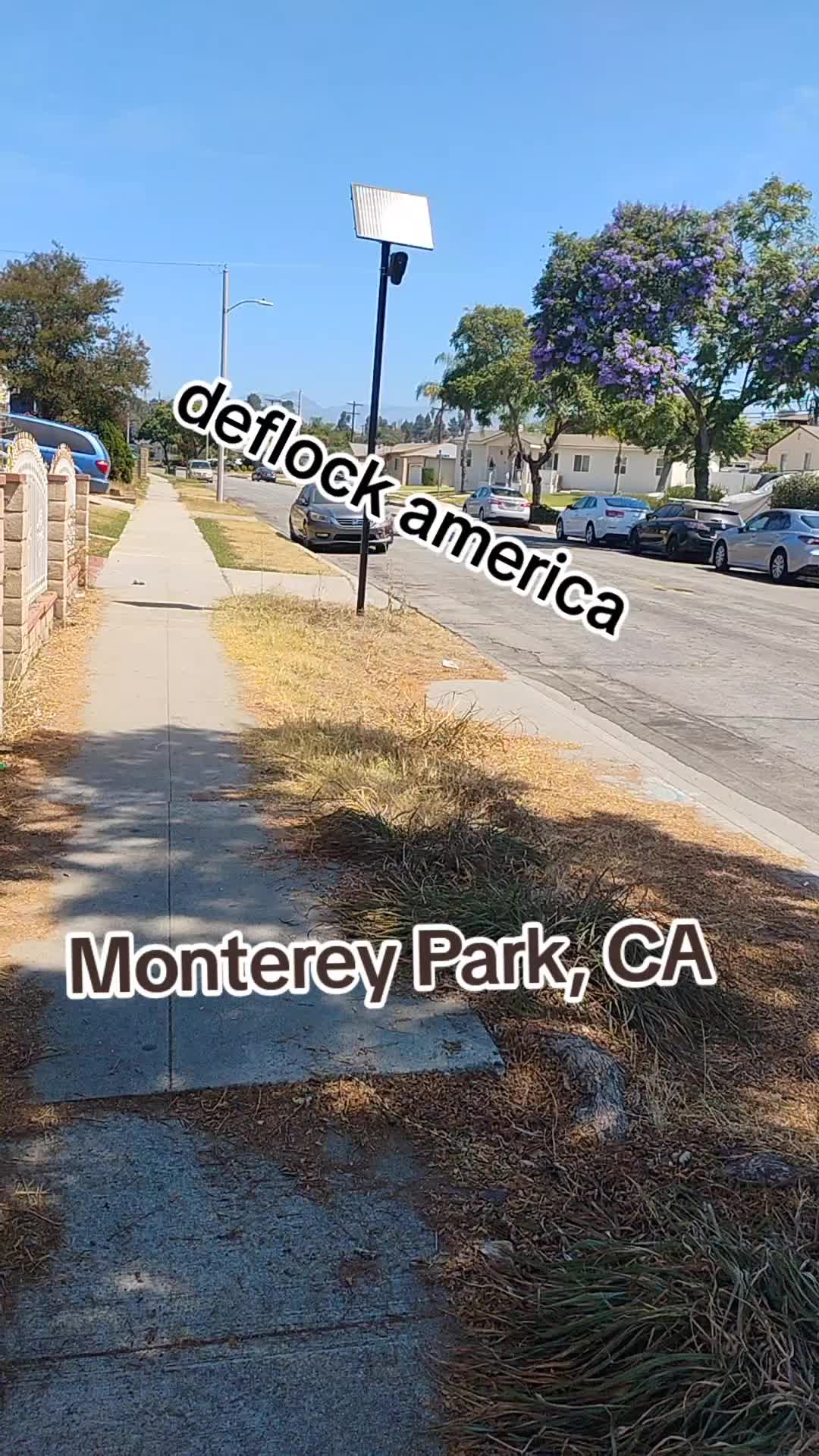 @KingGeedra