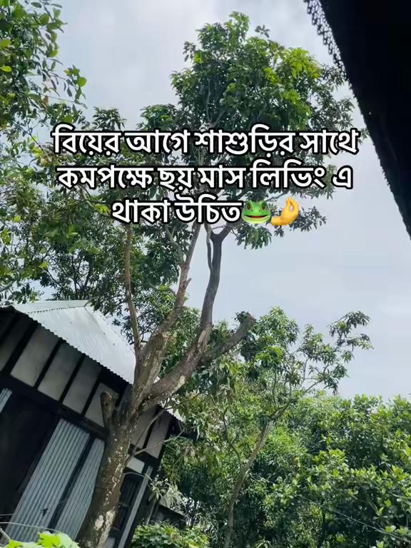 @SOHA:)!🕊️