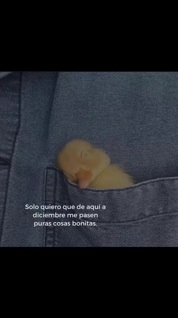 @Pequeños detalles 🫶🏻