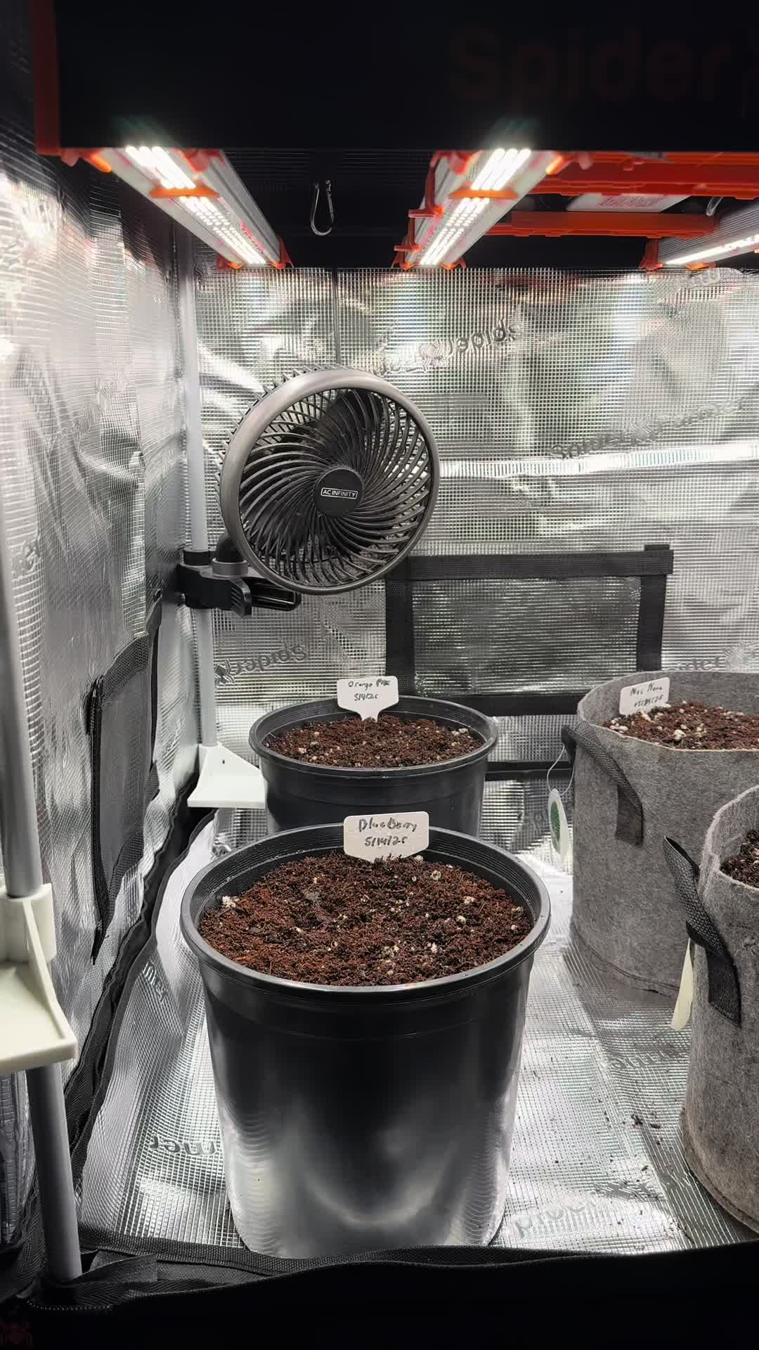 @CannaHut