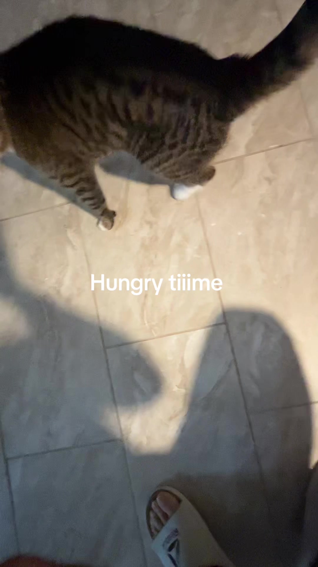 @Tiggy