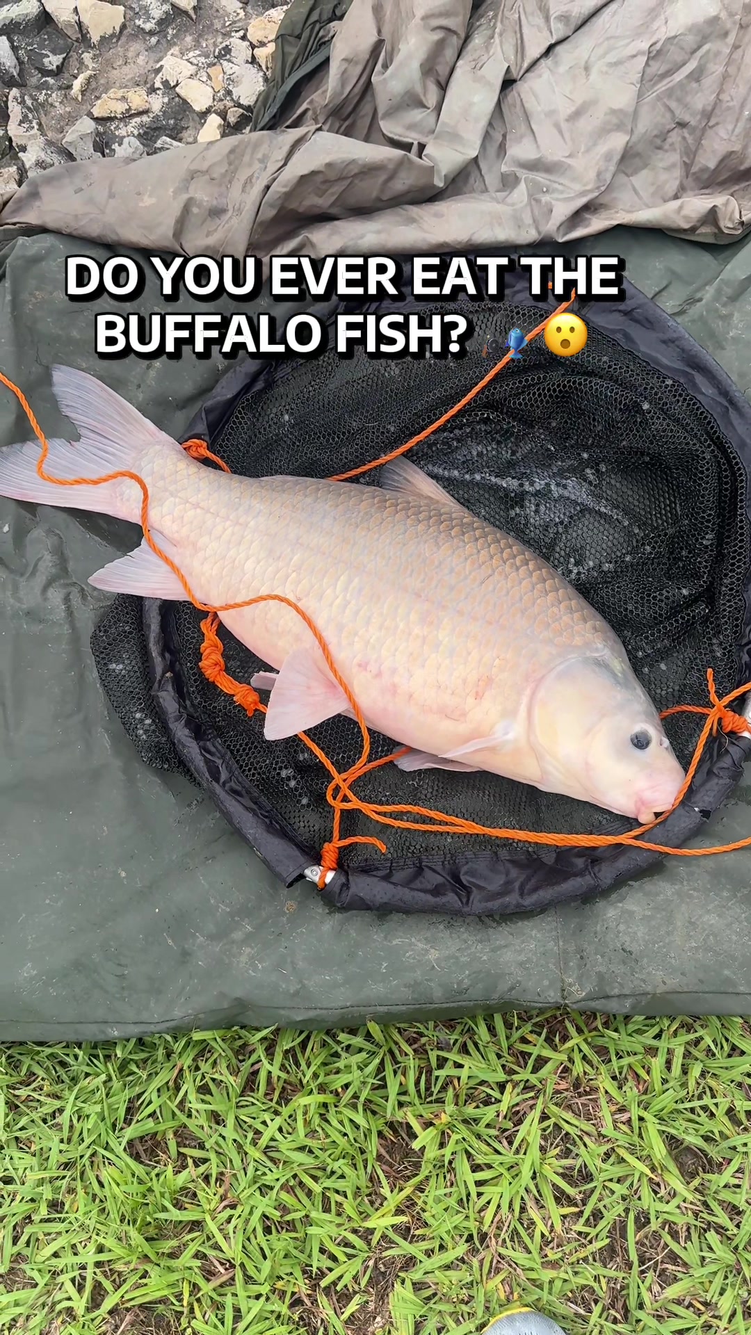 @Grateful Fishing Tv