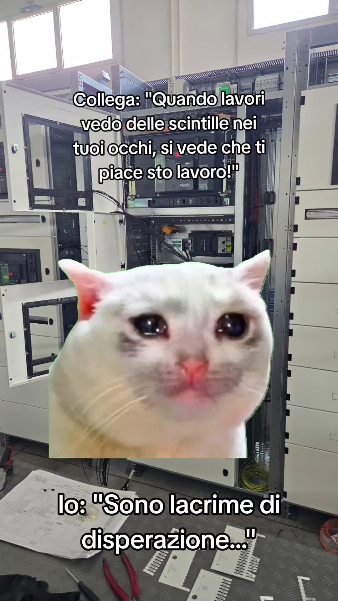 @Damiano