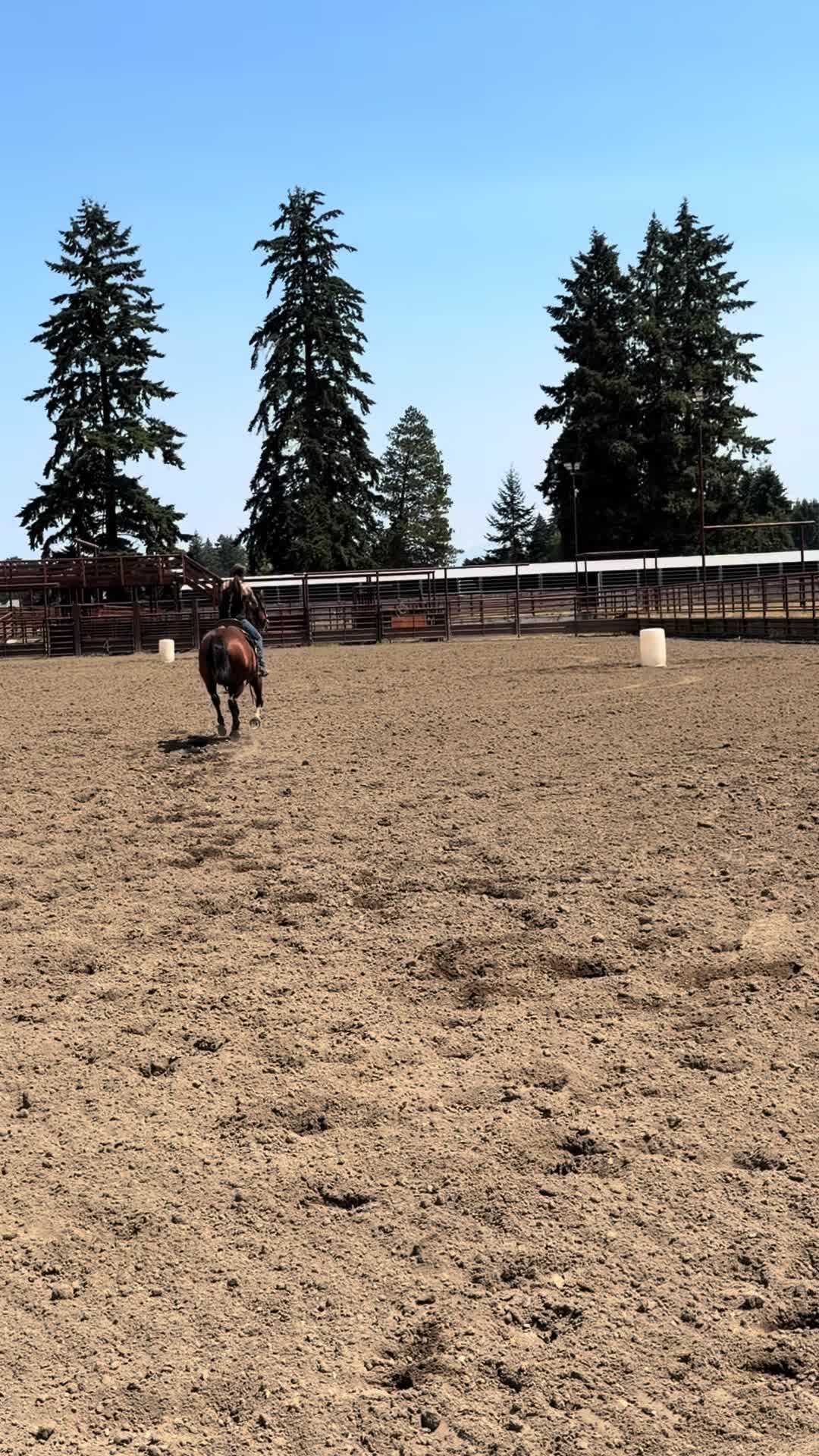 @TF Performance Horses