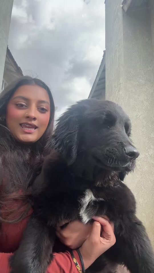 @Komal_K