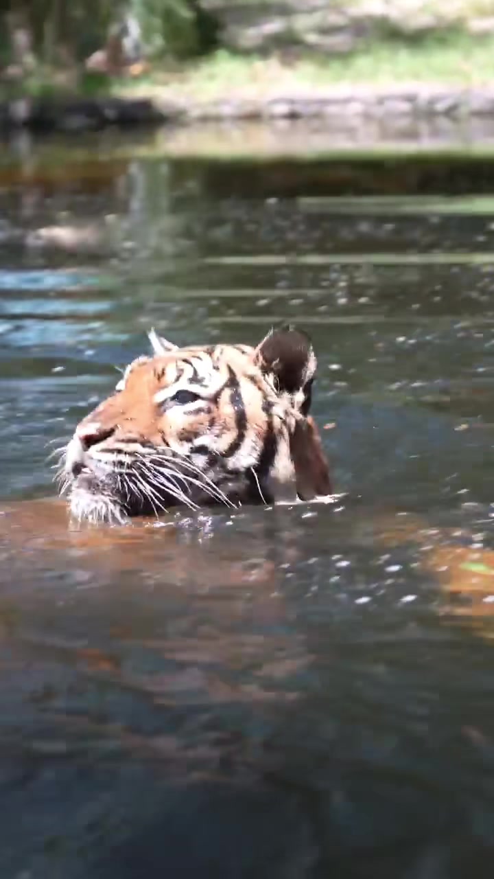 @Palm Beach Zoo