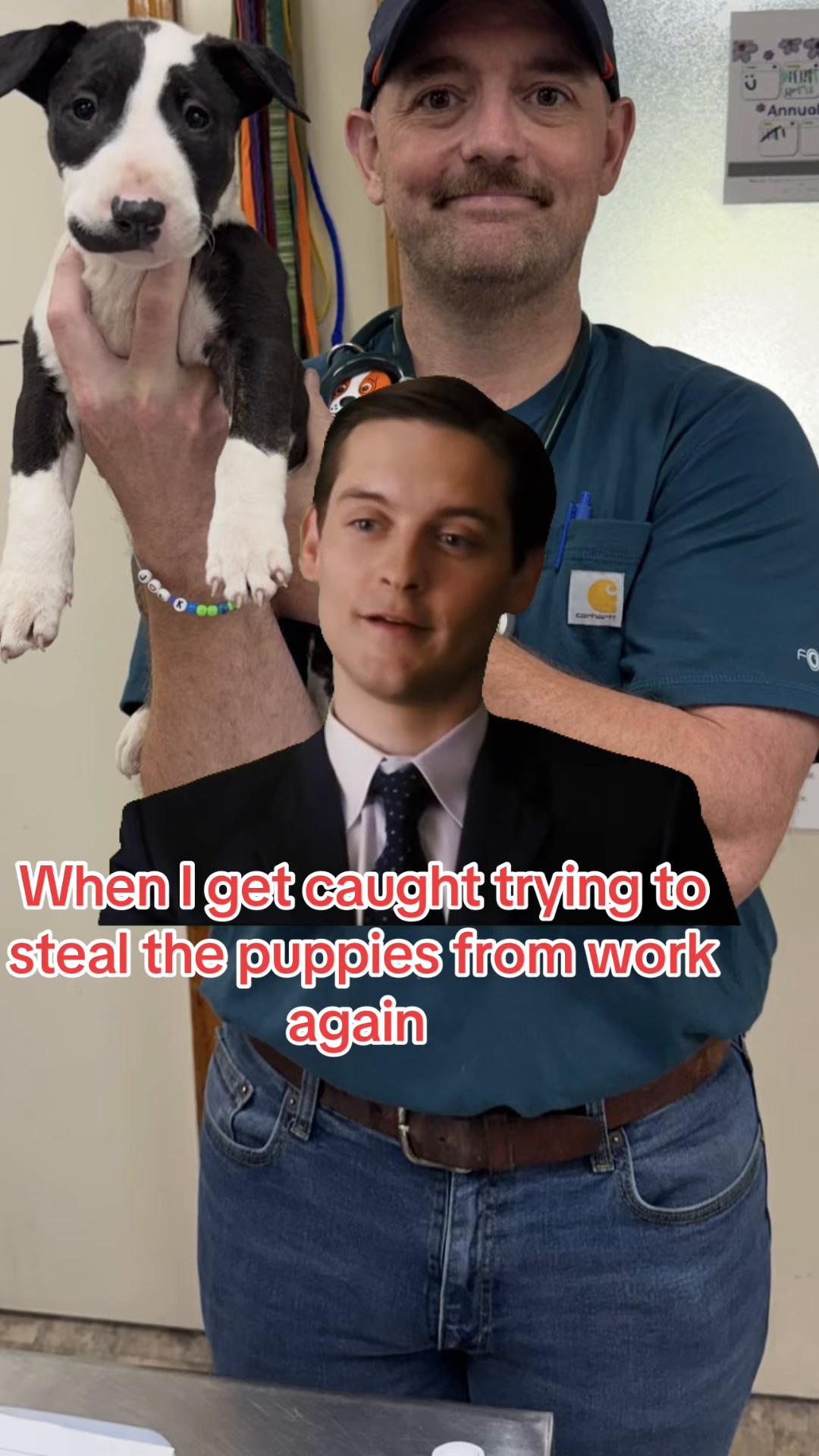 @treybvet