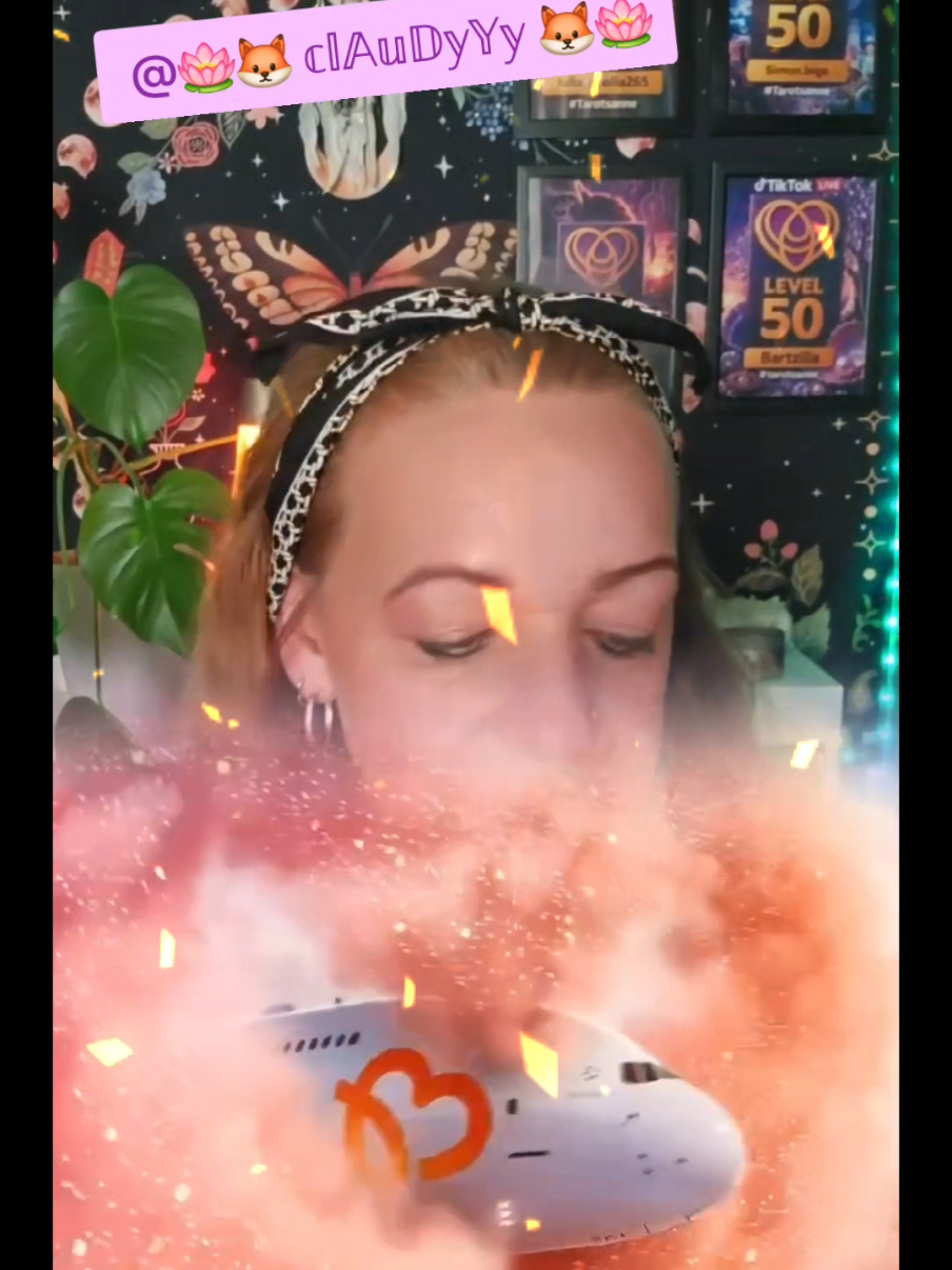 @🪷🦊Sanne🦊🪷