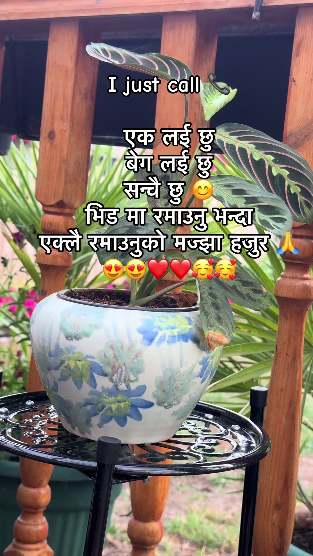 @Sarmila Tamang