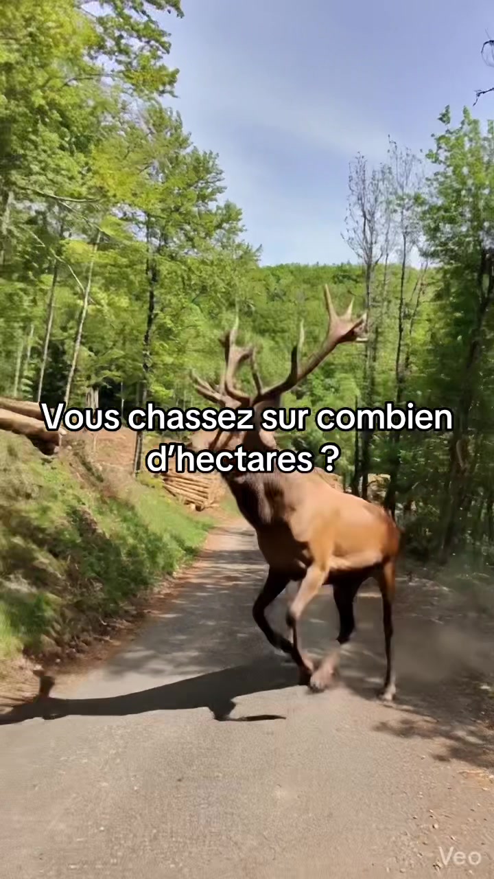 @Le jeune chasseur