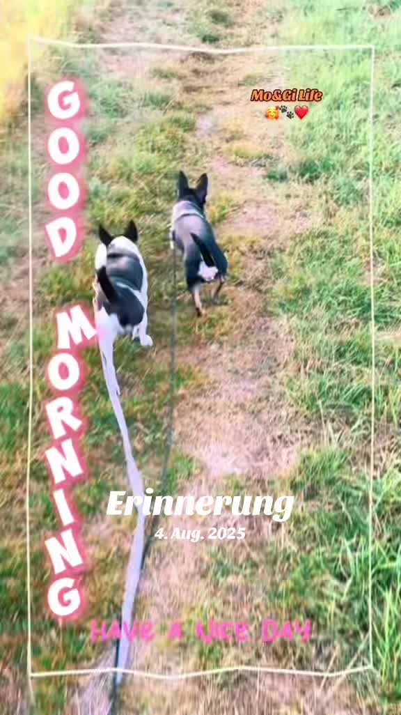 @Mo&Gi Life 🐾❤️🥰