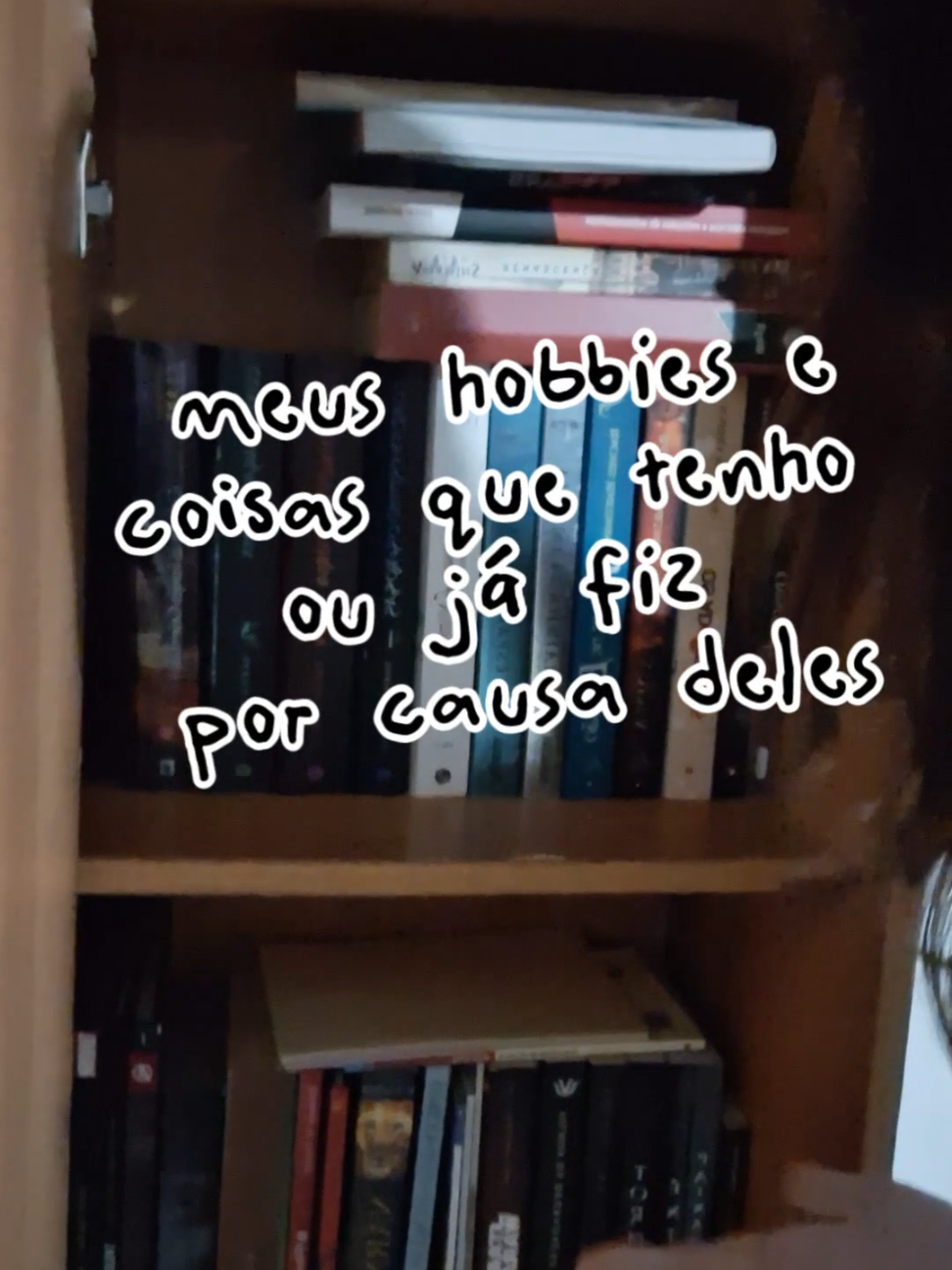 @Evelyn Soares
