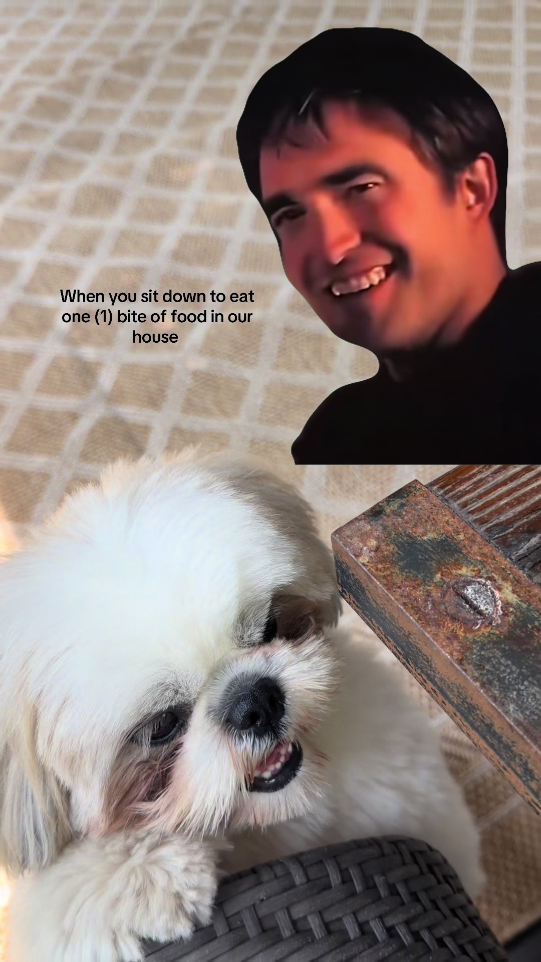 @Rufus