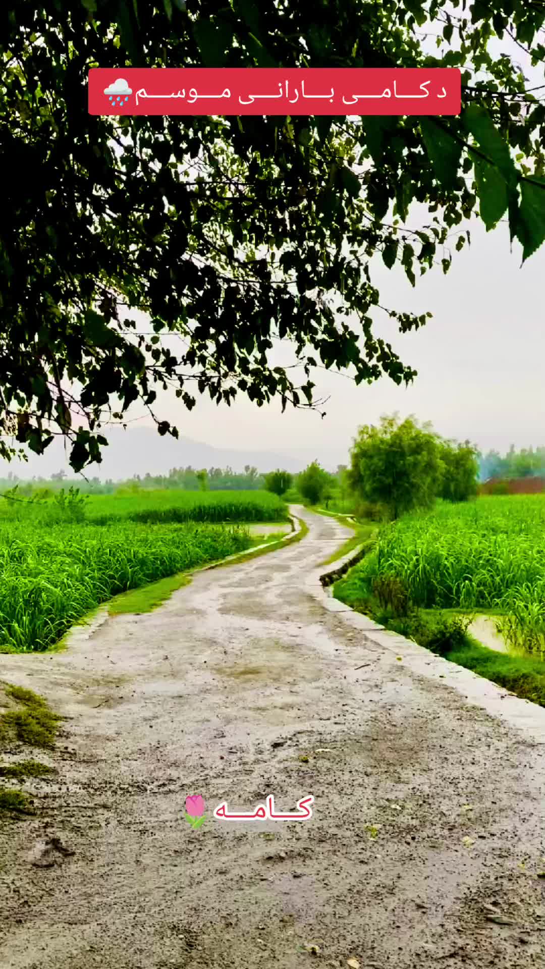 @🇦🇫꧁༒☬itx کاموال☬༒꧂