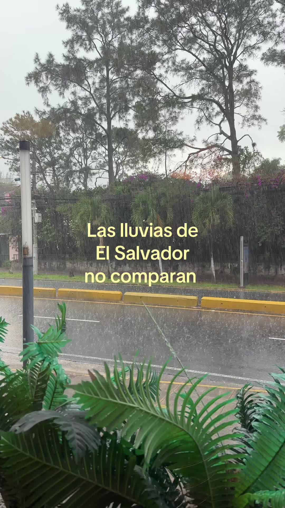 @Lea 🌺🇸🇻