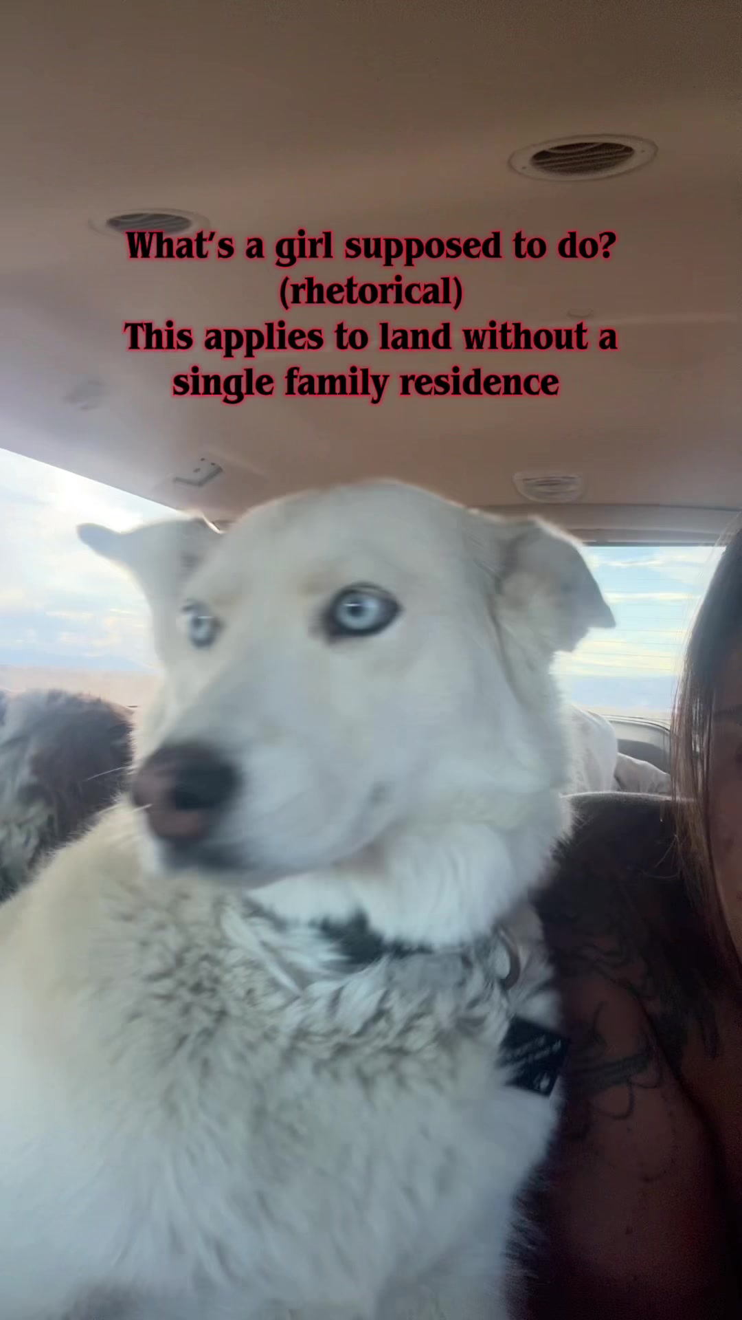 @Carli Anne Wolf