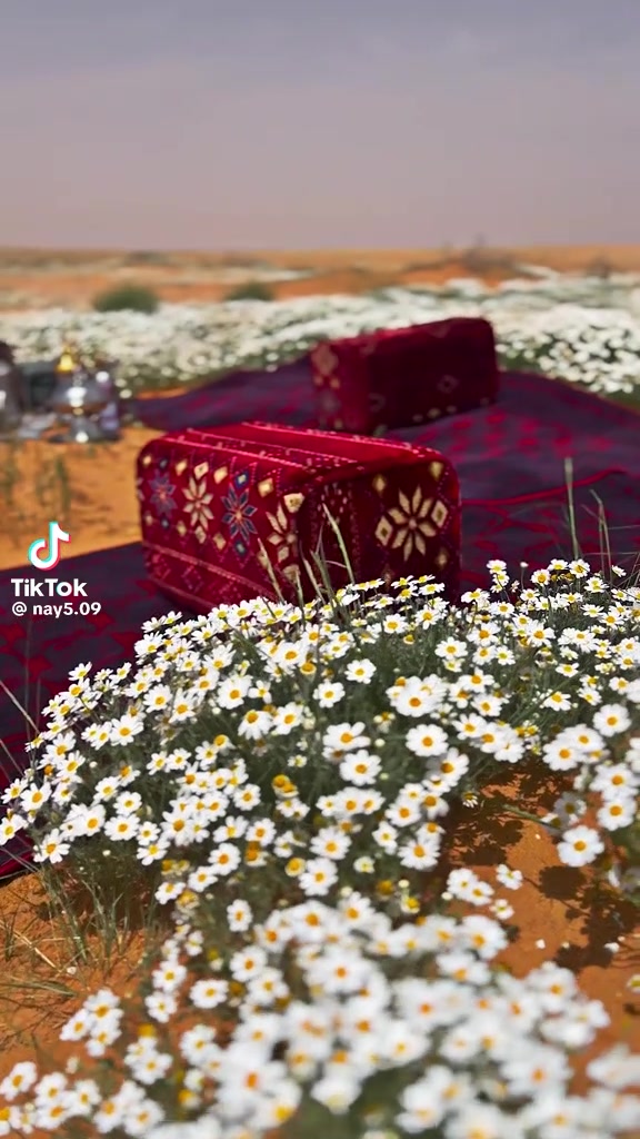 @جميل الرويلي