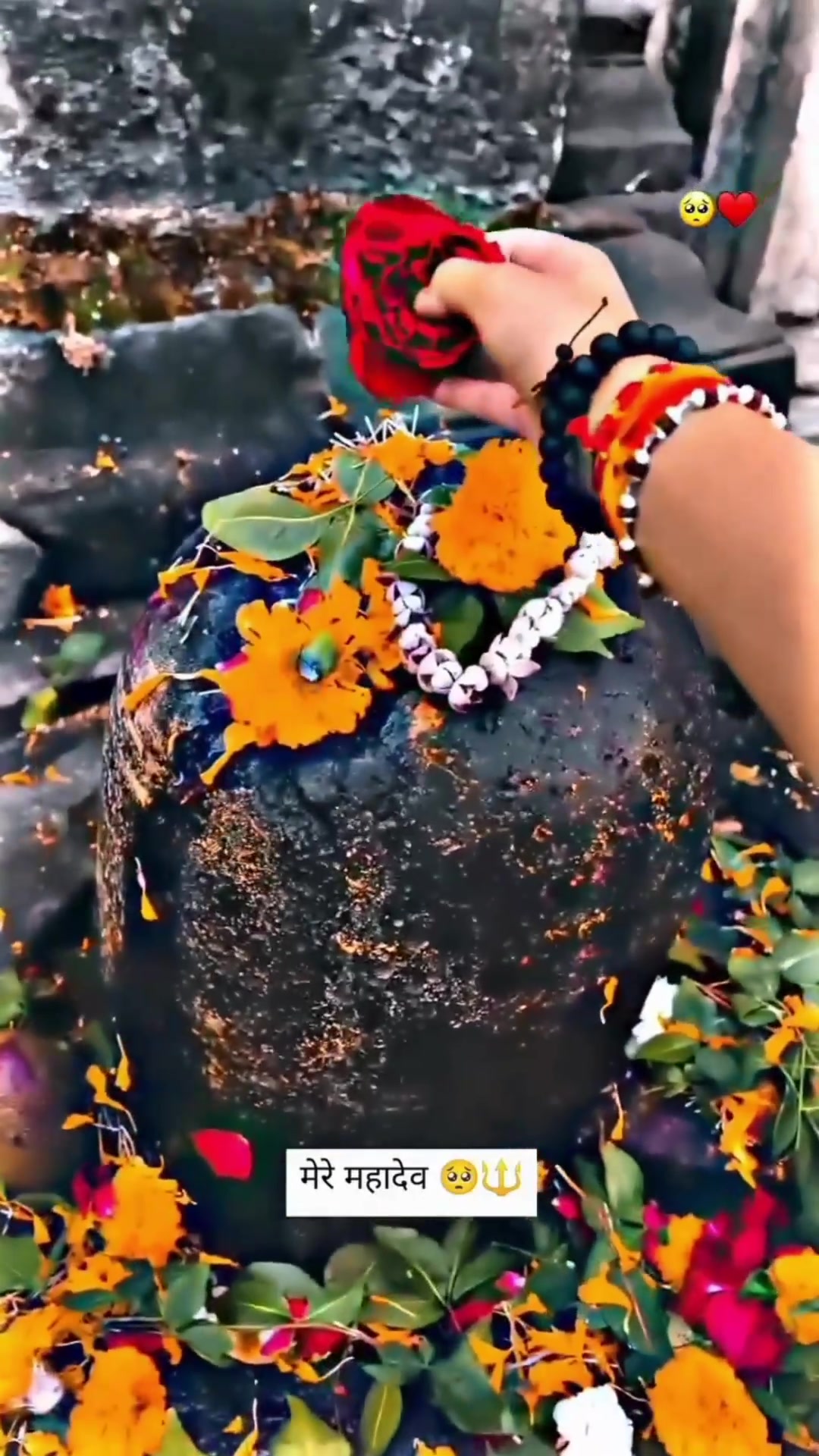 @➳🧡शिवभक्त 🚩🥀꧂