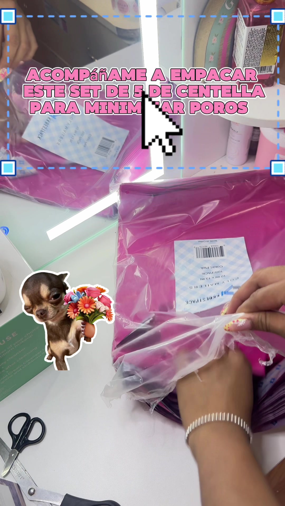 @๐๐ฟ๐ฎ๐ฝ๐ฝ_๐๐ช๐๐ธ๐ป๐ช๐ต๐