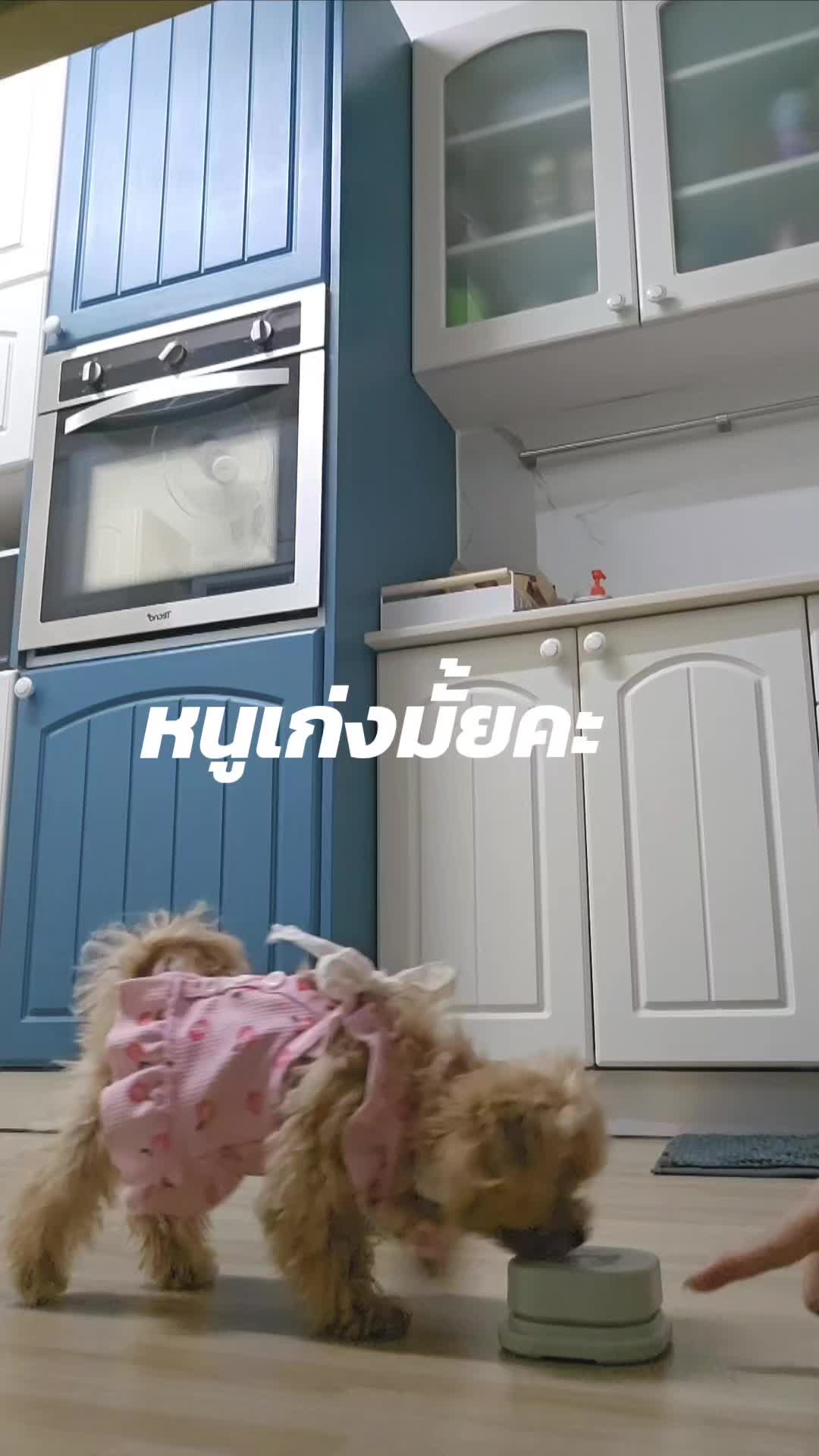 @mambenyada