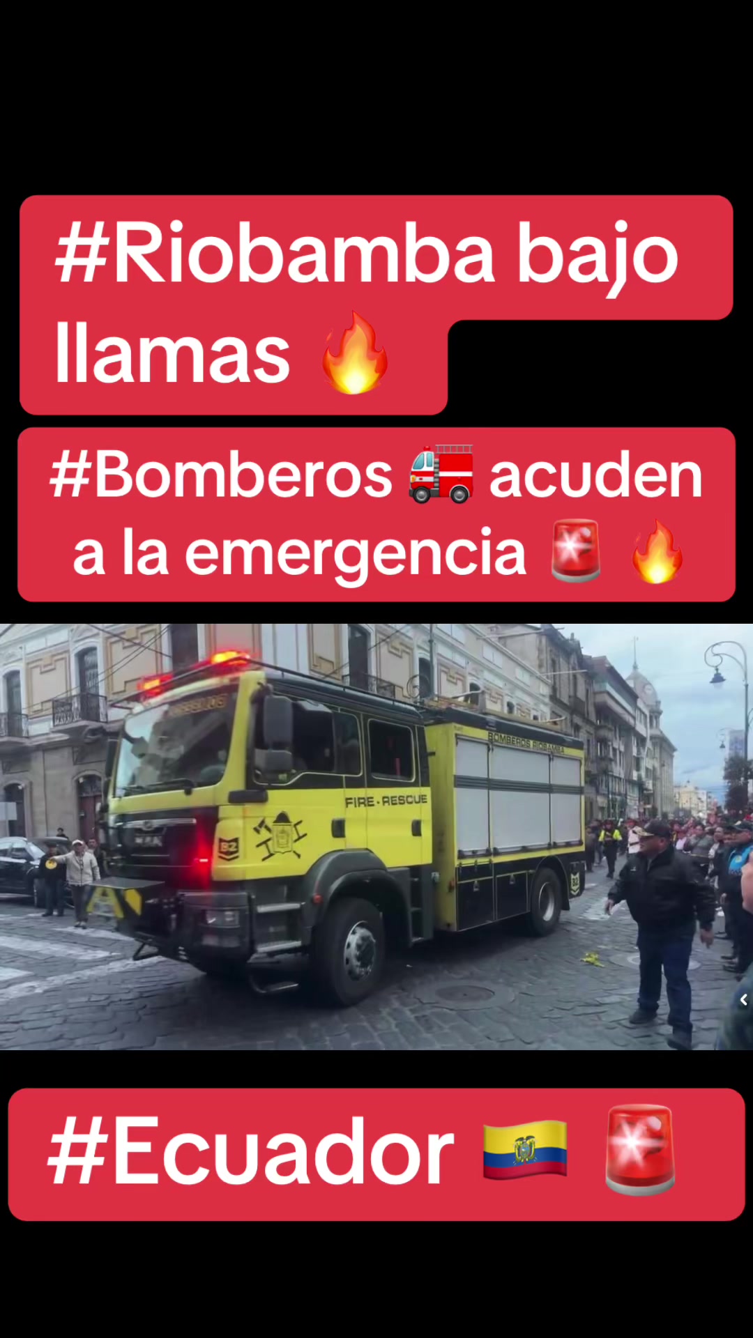 @intirubens