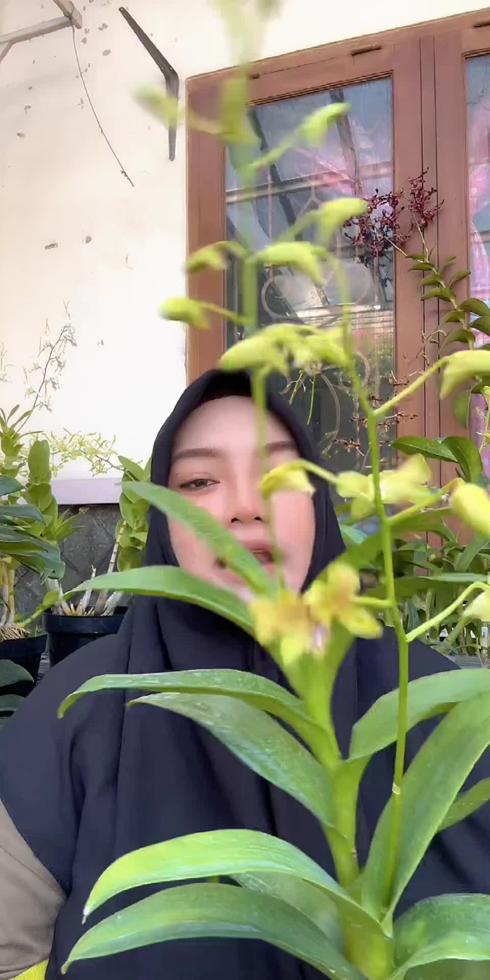 @Anggina Orchid
