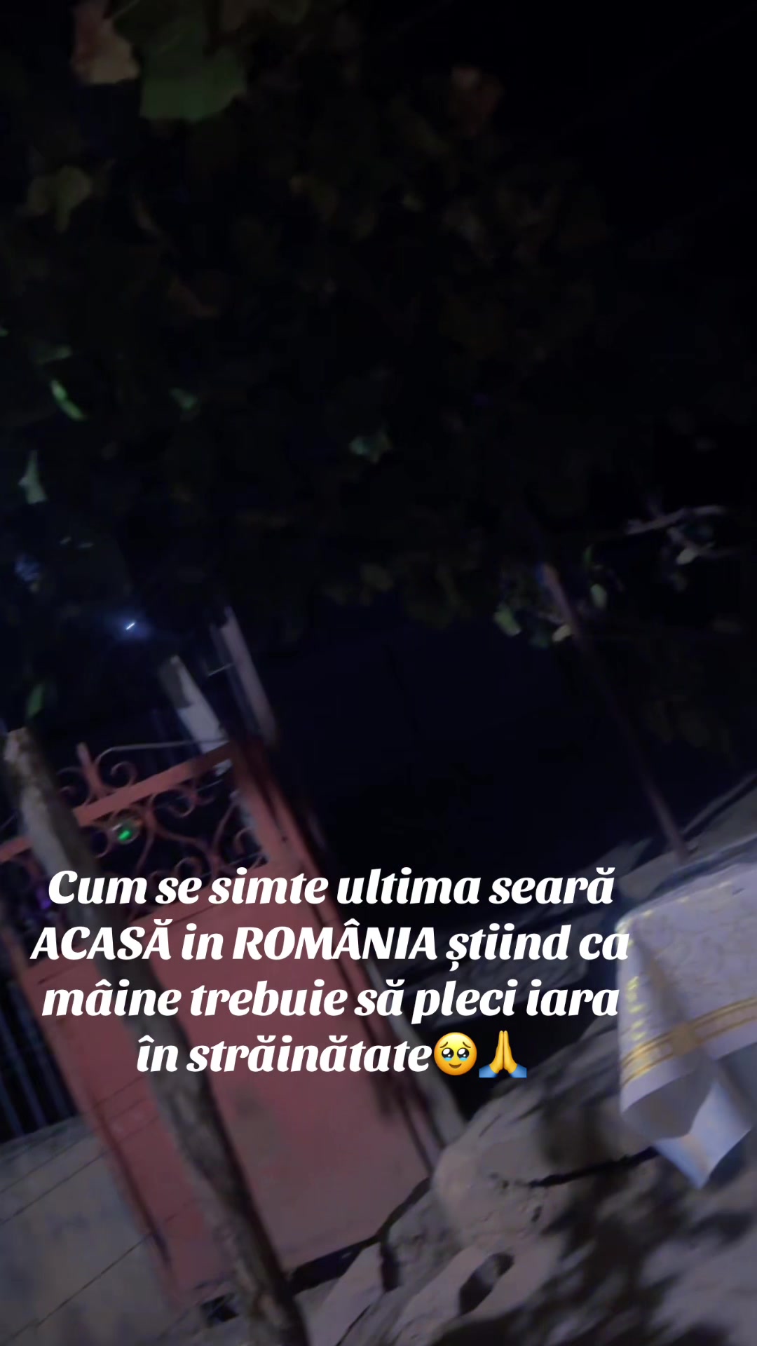 @Luiza Patanghel657
