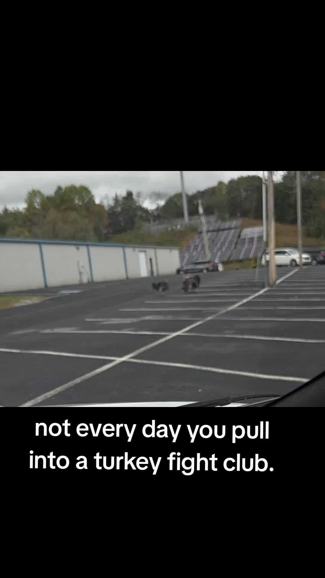 @Paige