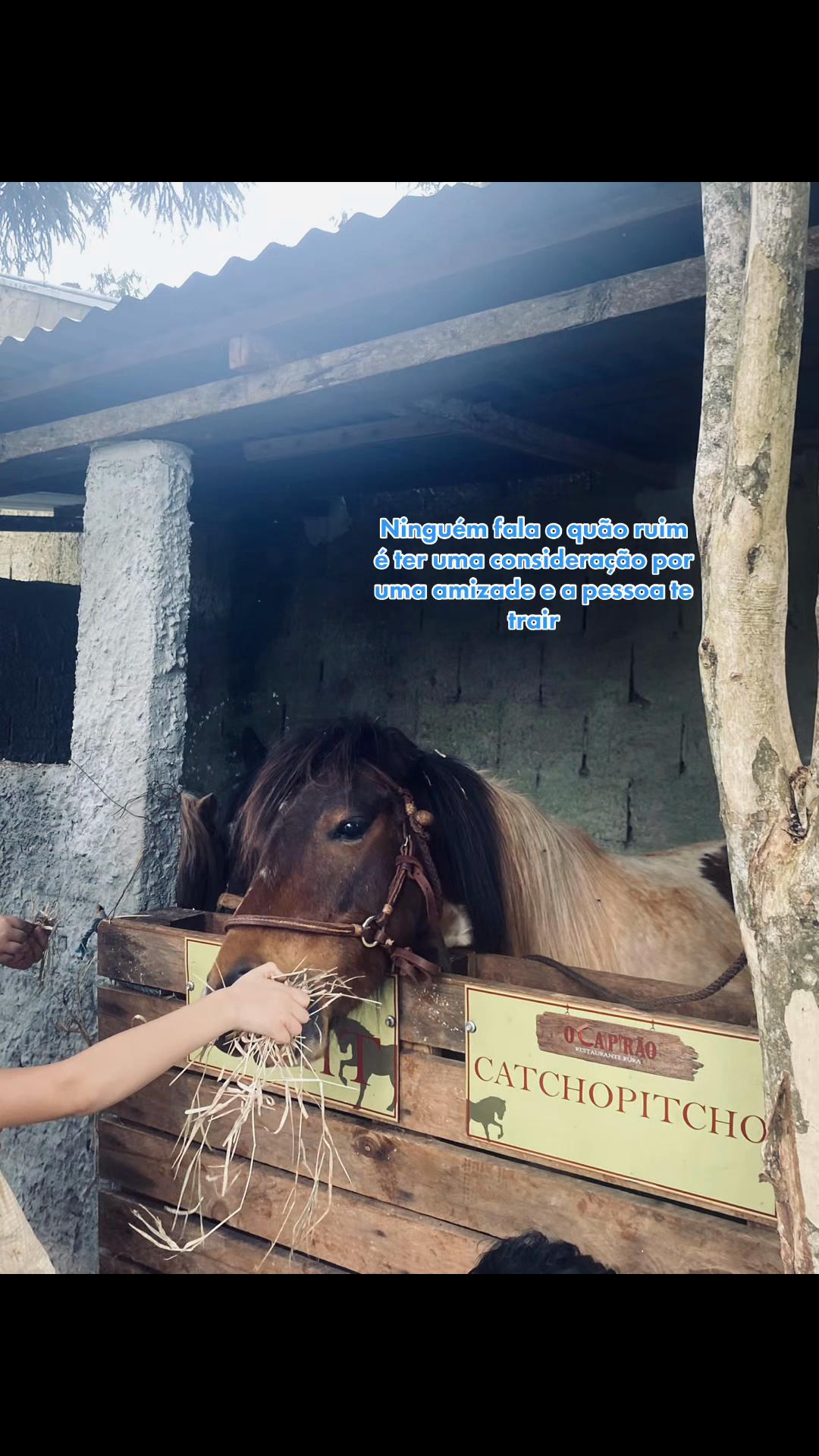 @Lâmina
