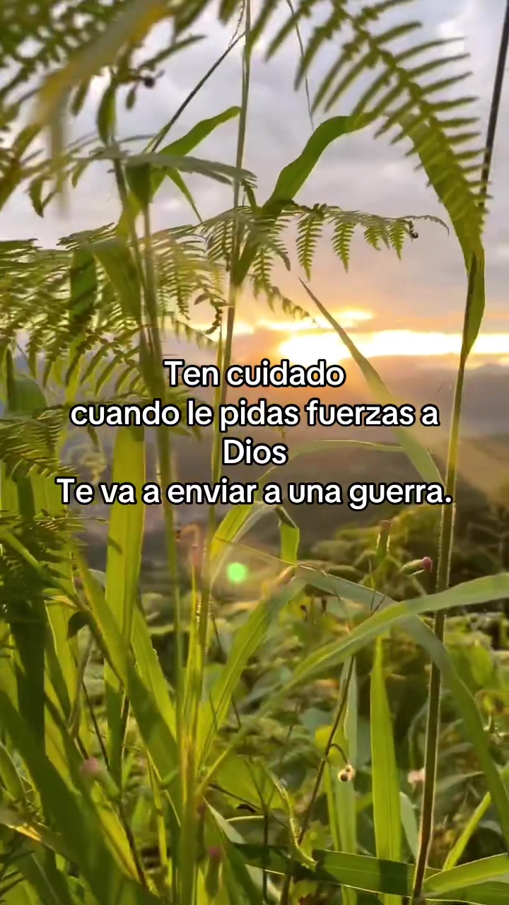 @frasesmotivadoras_777