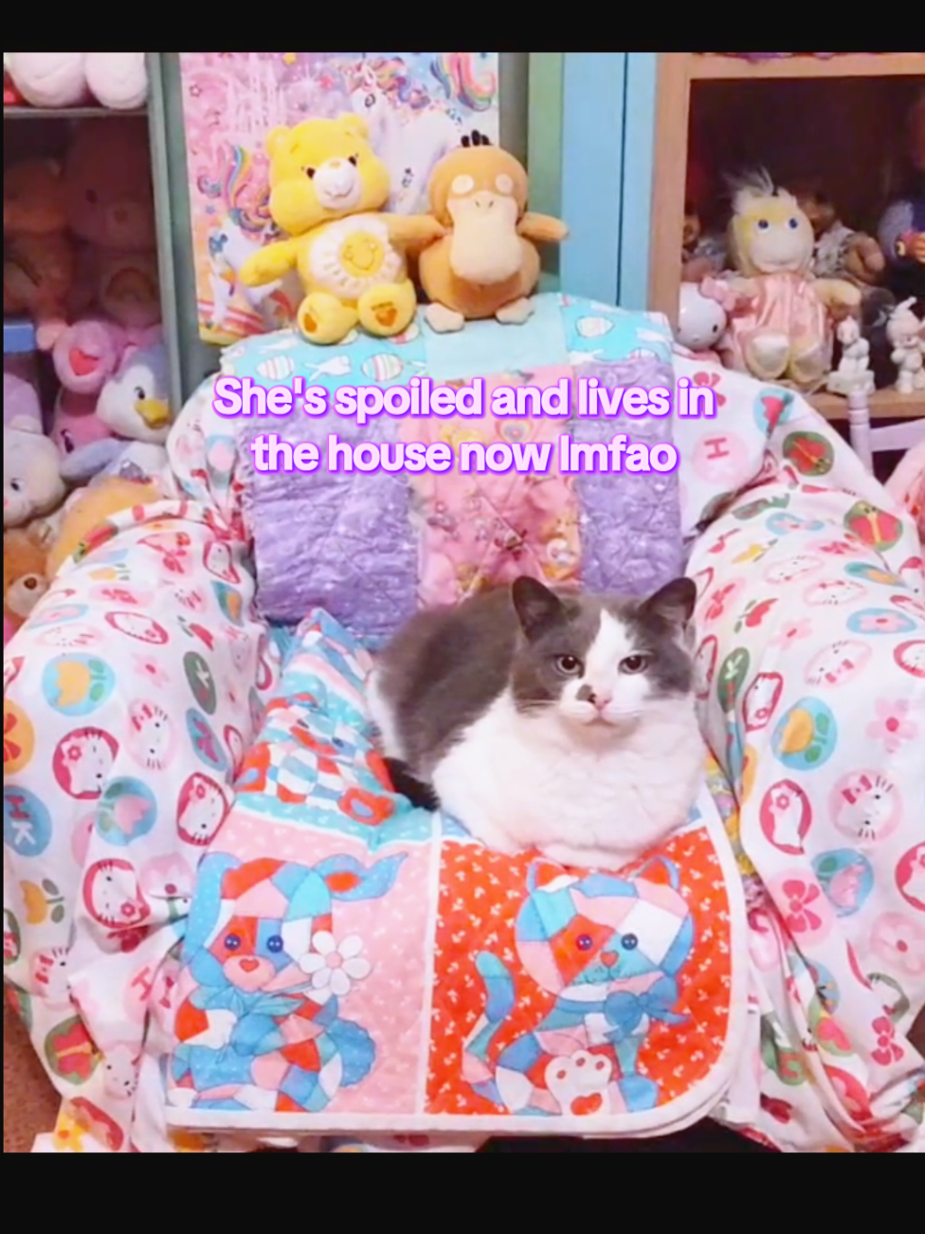 @👁👄👁 Cursed N' Kawaii 🌈🌟💕